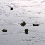 First image from the photoset 'stanwick (i)'.