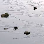 Third image from the photoset 'stanwick (i)'.