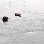 Fifth image from the photoset 'stanwick (i)'.