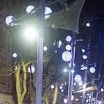 image: Image from the photoset &lsquo;L (xxiv)&rsquo;.