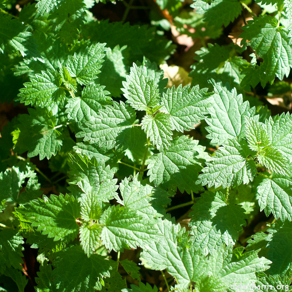 Image: Image 'terres rouges (vi) 3'