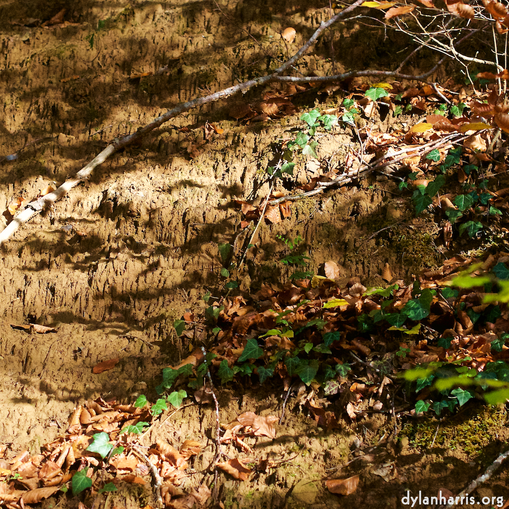 Image: Image 'terres rouges (vi) 5'.