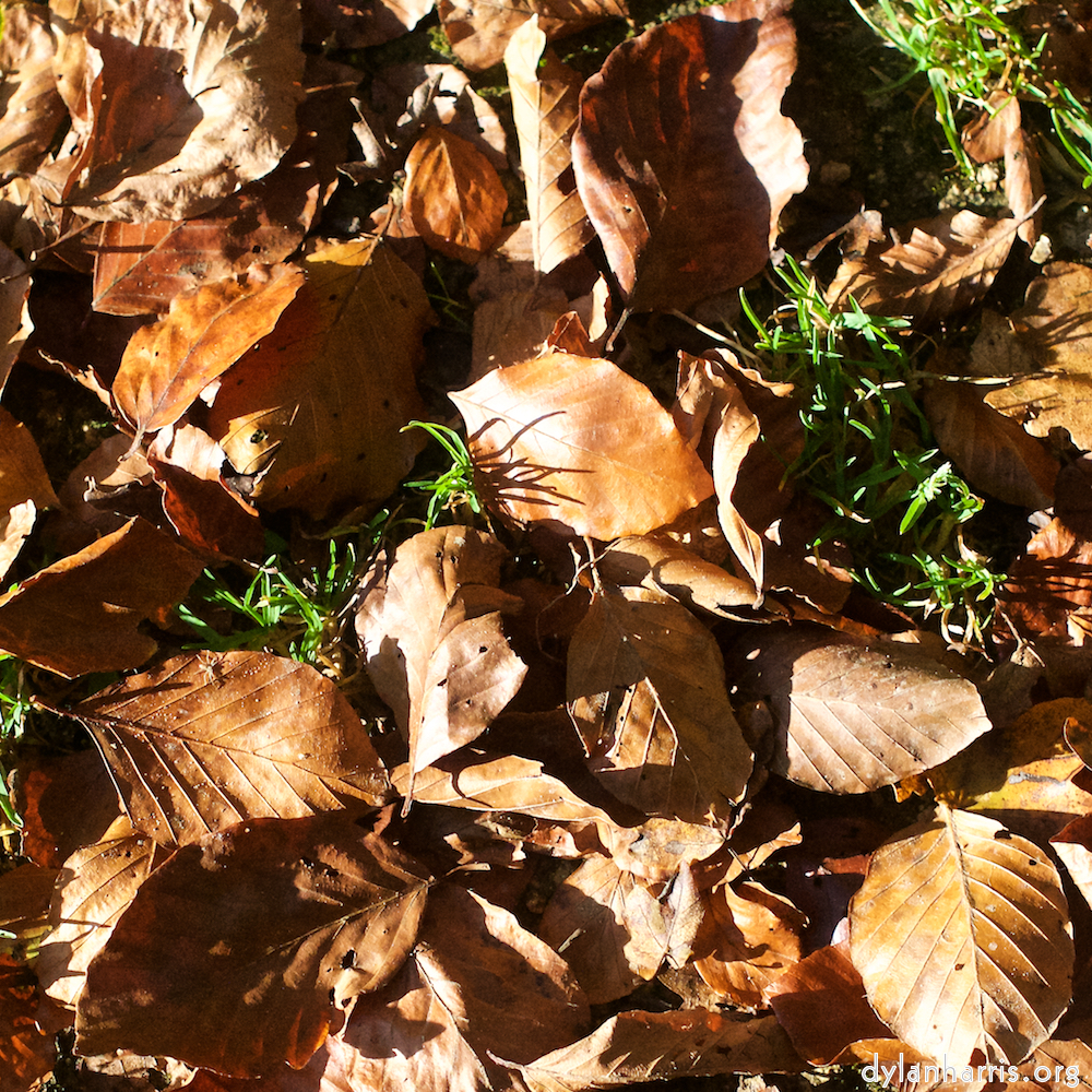 Image: Image 'terres rouges (vi) 7'.