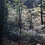 Image: First image from the photoset 'terres rouges (vi)'.