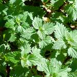 Image: Third image from the photoset 'terres rouges (vi)'.