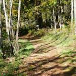 Image: Fourth image from the photoset 'terres rouges (vi)'.