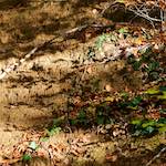 Image: Fifth image from the photoset 'terres rouges (vi)'.