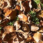 Image: Sixth image from the photoset 'terres rouges (vi)'.