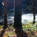 Image: Sixth image from the photoset 'terres rouges (vi)'.