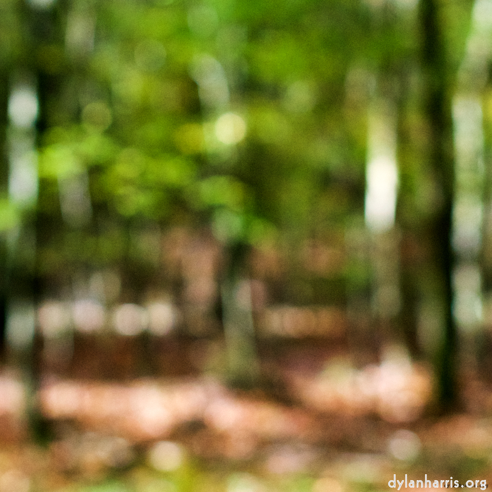 image: This is &lsquo;wood (xvii) 7&rsquo;.