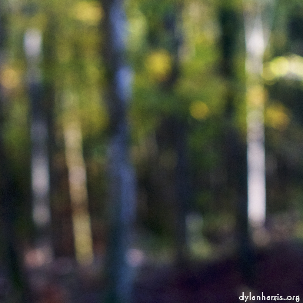 image: This is &lsquo;wood (xviii) 5&rsquo;.