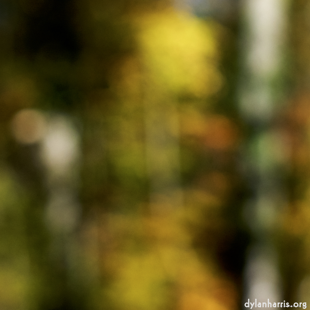 Image 'wood (xix) 2'