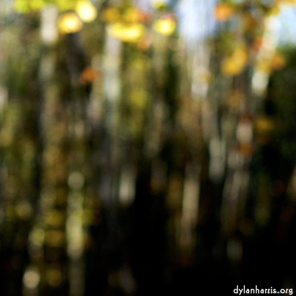 Image 'wood (xix) 3'