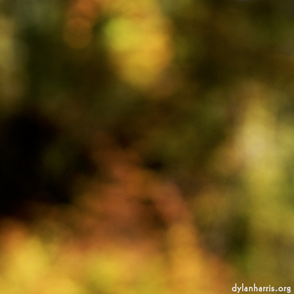 Image: Image 'wood (xix) 4'