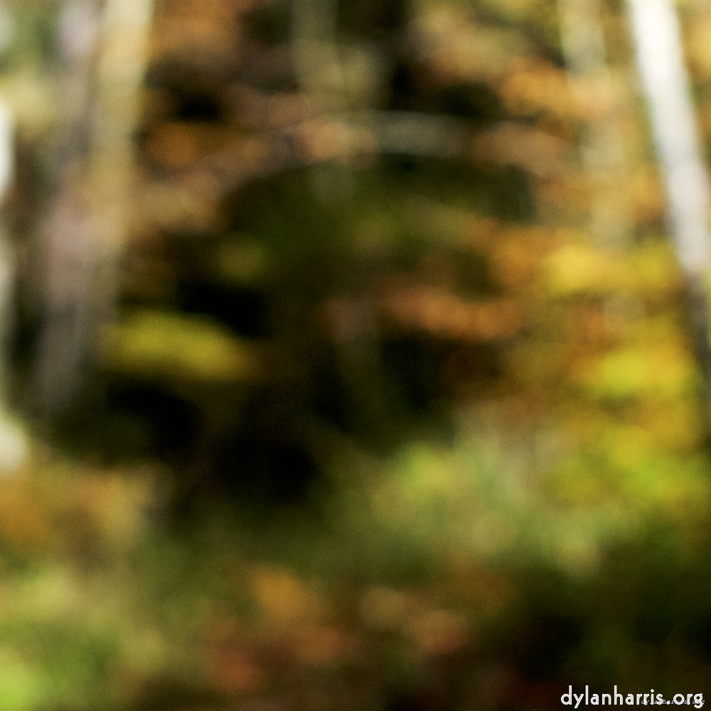 Image 'wood (xix) 5'.