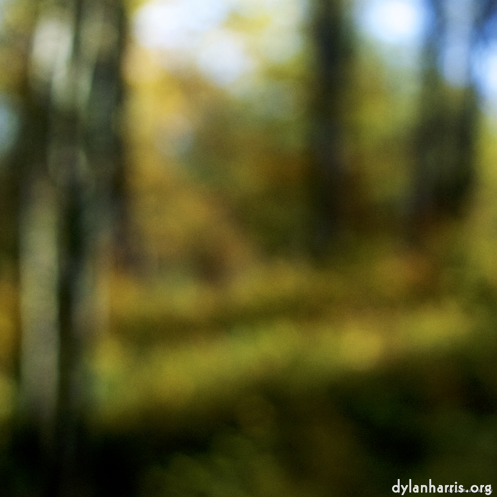 Image: Image 'wood (xix) 7'.