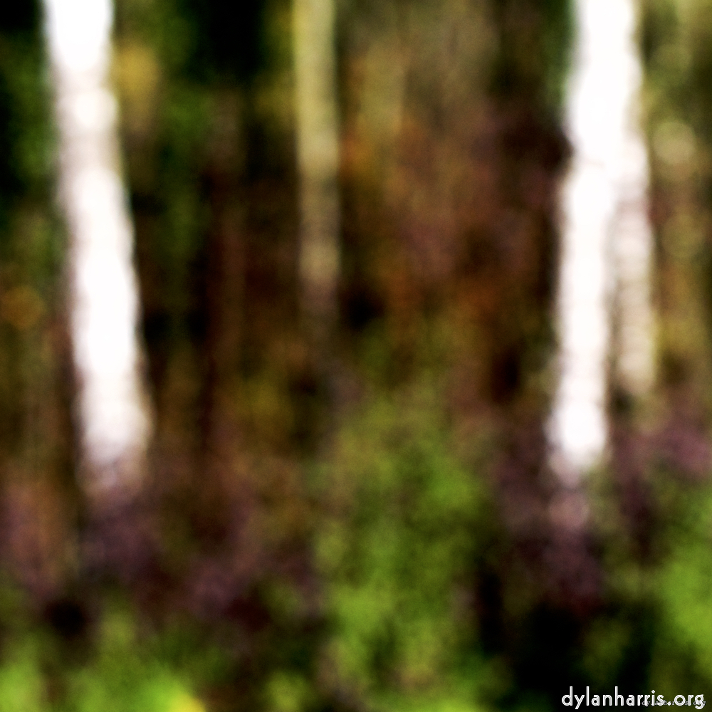 Image 'wood (xix) 8'