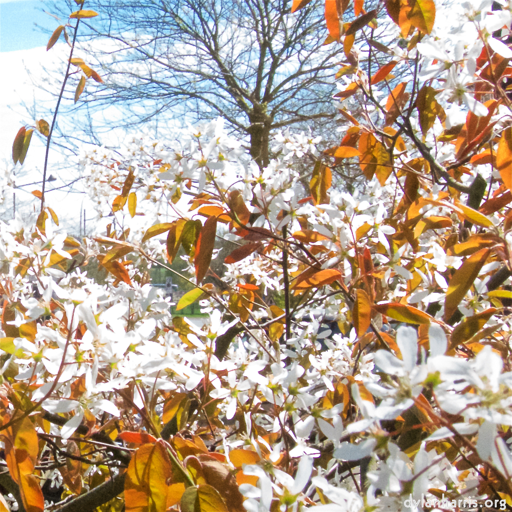 image: This is &lsquo;konscht am gronn (i) 2&rsquo;.