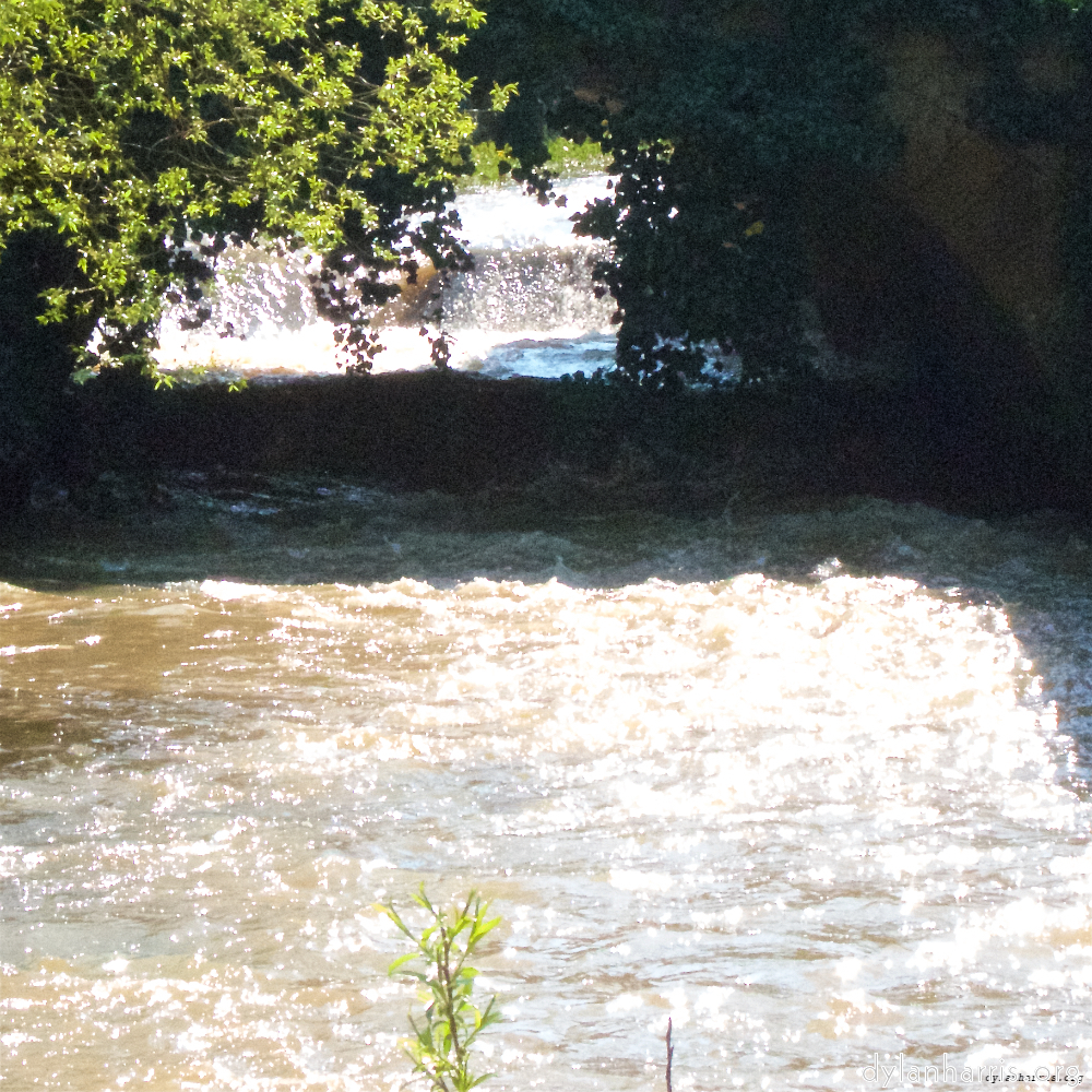 image: This is &lsquo;konscht am gronn (i) 5&rsquo;.