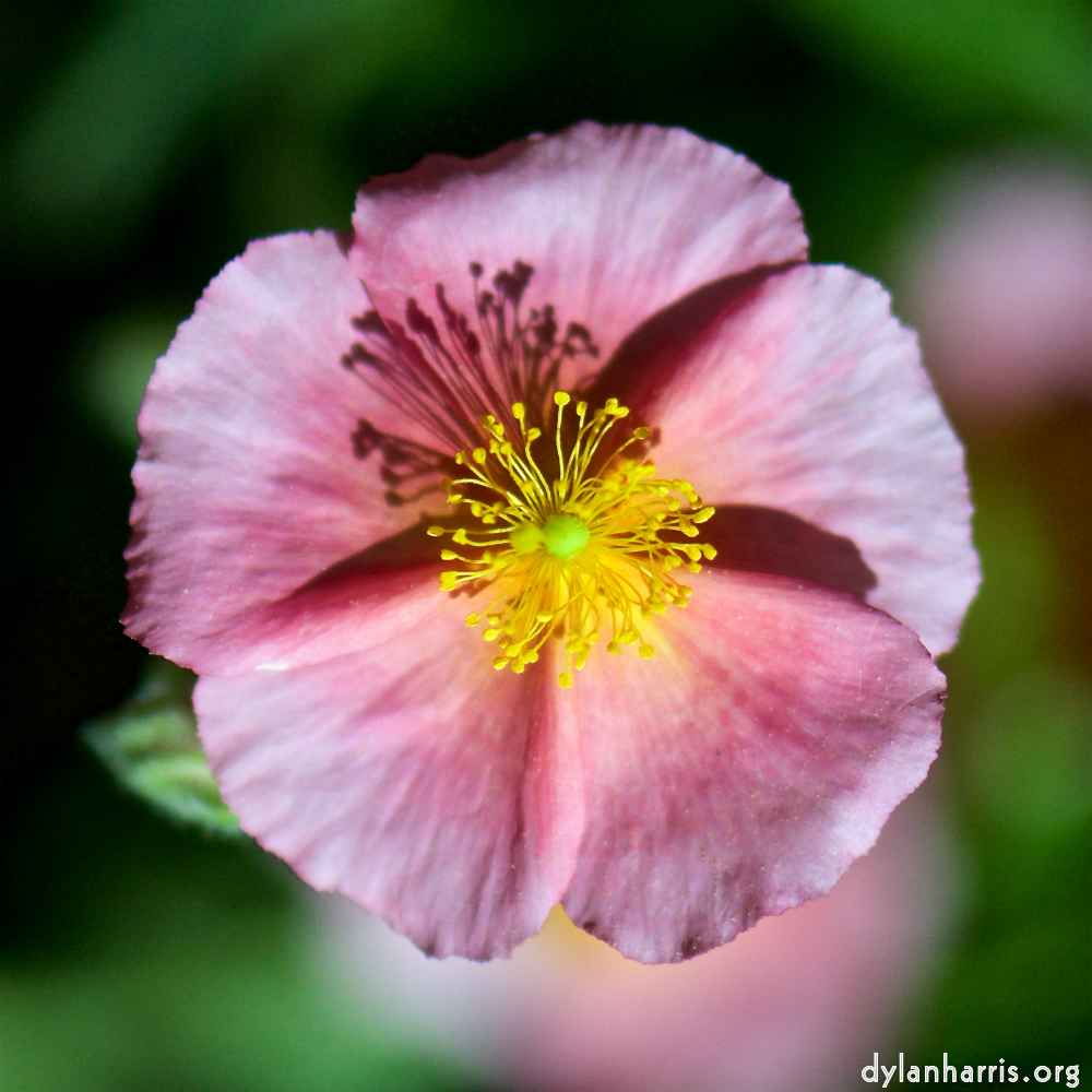 image: la d&eacute;fense