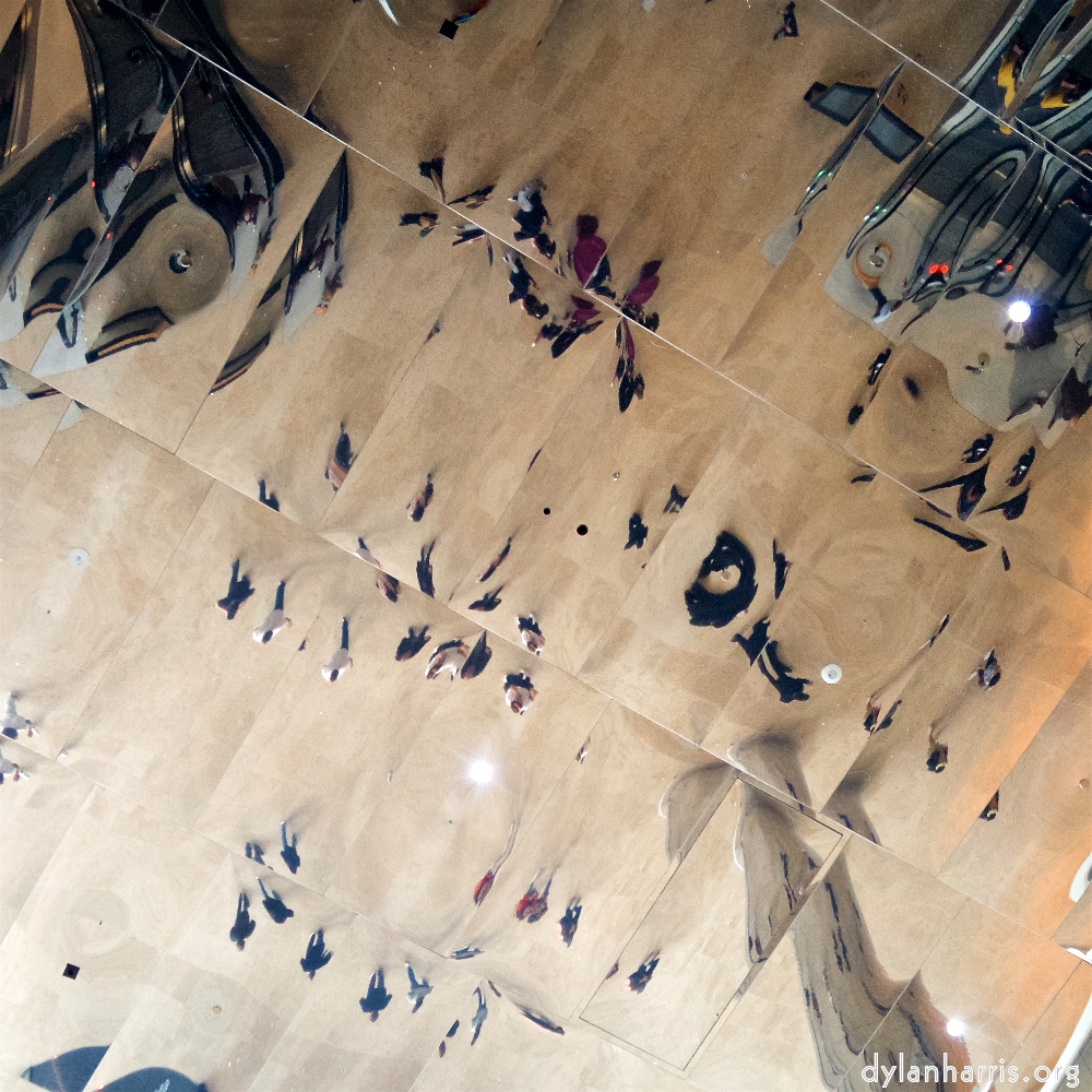 image: This is &lsquo;flower (xx) 2&rsquo;.