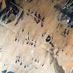 image: Image from the photoset &lsquo;flower (xx)&rsquo;.