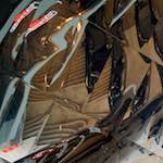 image: Image from the photoset &lsquo;flower (xx)&rsquo;.