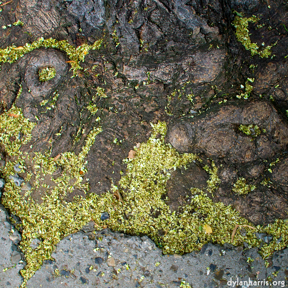 Image 'paris (vii) 2'.