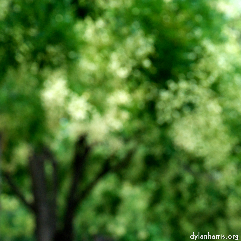 Image 'paris (vii) 4'.