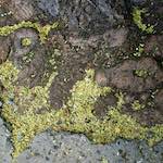 Second image from the photoset 'paris (vii)'.