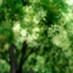 Fourth image from the photoset 'paris (vii)'.