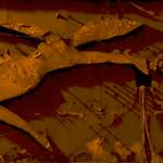 image: Image from the photoset &lsquo;montmartre (x)&rsquo;.