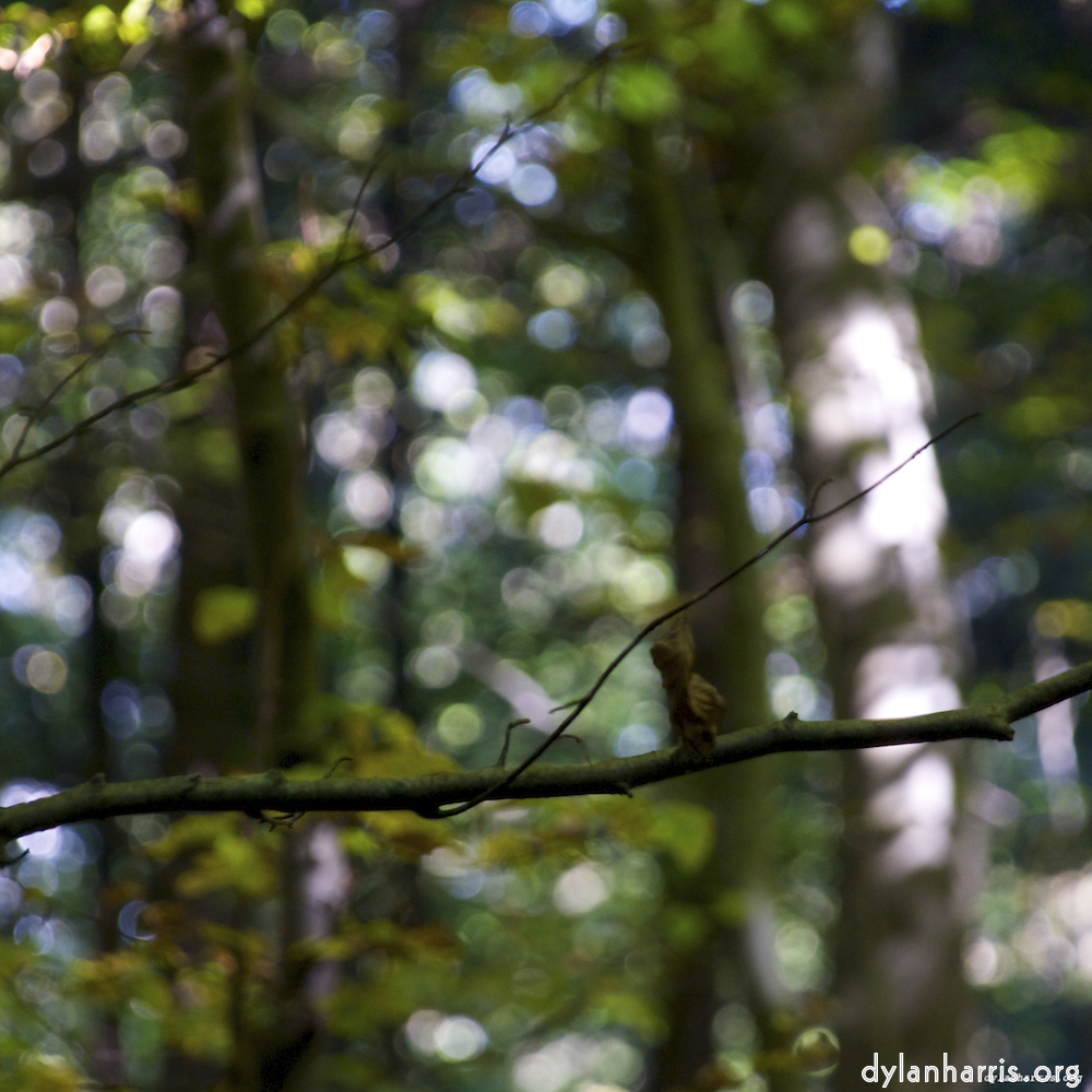 Image 'z&uuml;rich (ii) 1'.