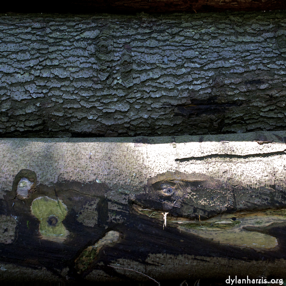 Image 'z&uuml;rich (ii) 2'.