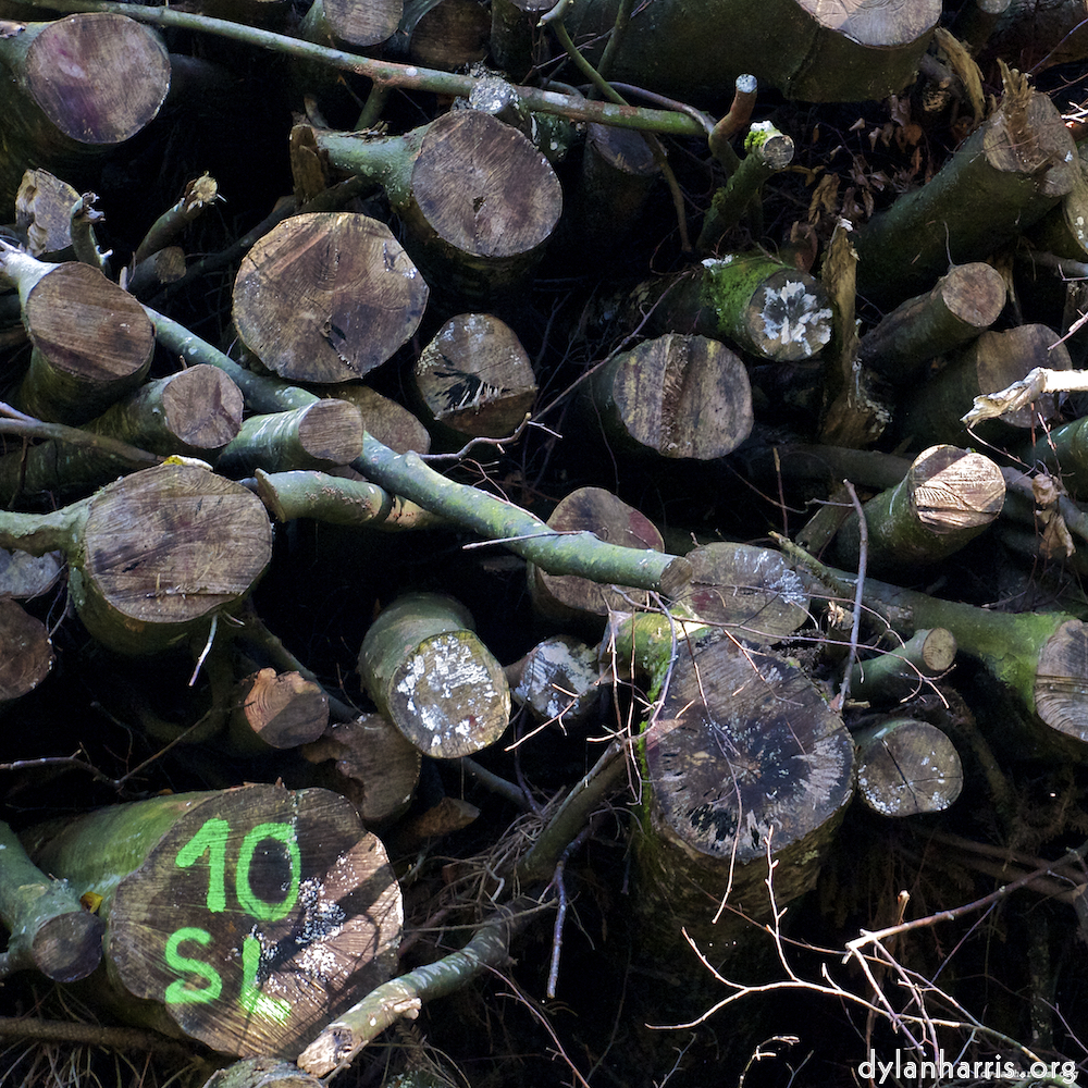 Image 'z&uuml;rich (ii) 3'.