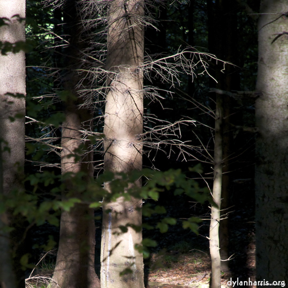 Image 'z&uuml;rich (ii) 4'.