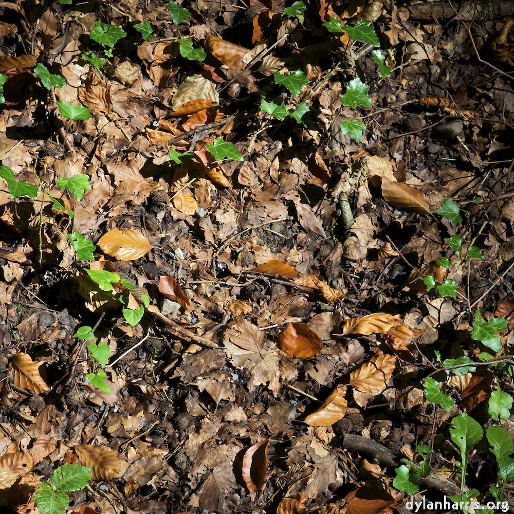 Image 'z&uuml;rich (ii) 5'.