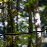 First image from the photoset 'z&uuml;rich (ii)'.