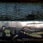 Second image from the photoset 'z&uuml;rich (ii)'.