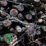 Third image from the photoset 'z&uuml;rich (ii)'.