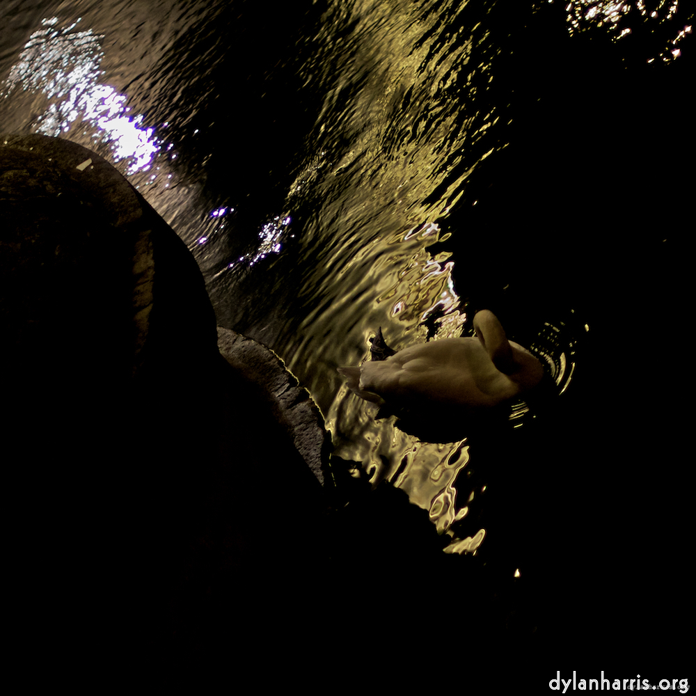 Image 'z&uuml;rich (iii) 3'.