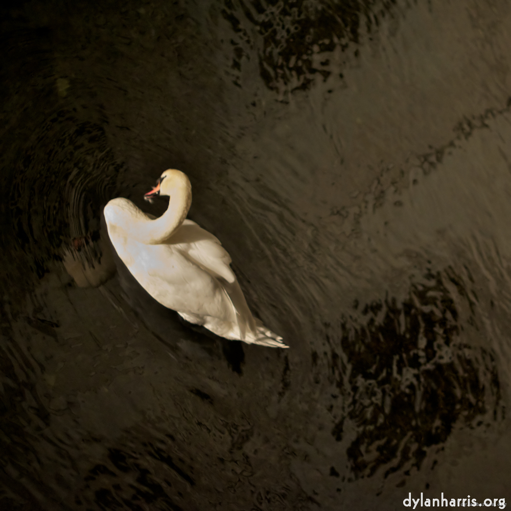 Image: Image 'z&uuml;rich (iii) 9'.