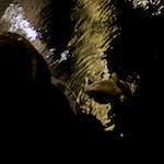 Third image from the photoset 'z&uuml;rich (iii)'.