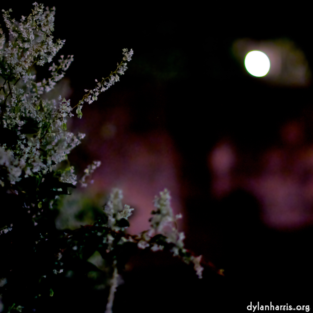 image: This is &lsquo;montmartre (xv) 7&rsquo;.