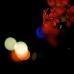 image: Image from the photoset &lsquo;montmartre (xv)&rsquo;.