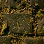 image: Image from the photoset &lsquo;montmartre (xv)&rsquo;.