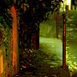 image: Image from the photoset &lsquo;montmartre (xv)&rsquo;.