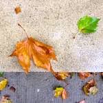 image: Image from the photoset &lsquo;luxembourg (iv)&rsquo;.