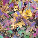 image: Image from the photoset &lsquo;luxembourg (iv)&rsquo;.