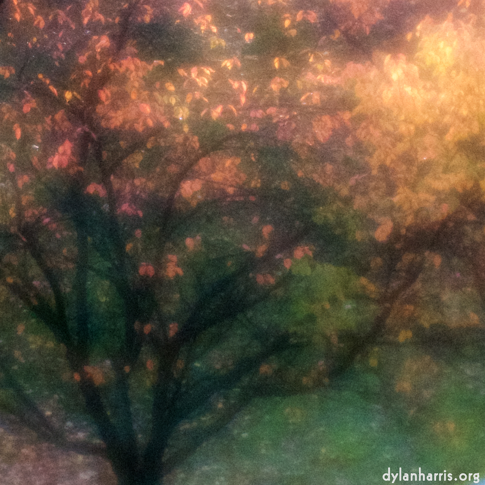 gaalgebierg, esch-sur-alzette